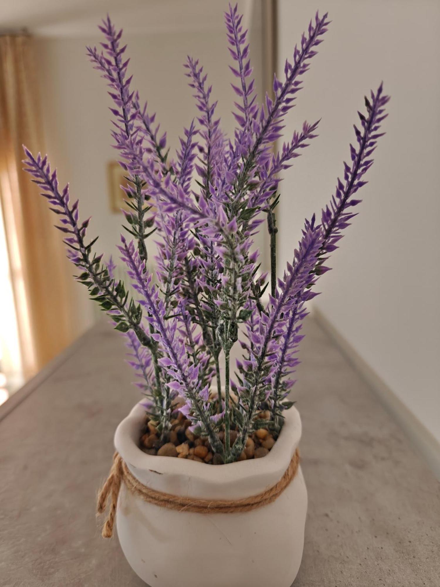 Apartment Donatello